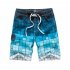 Men Fashion Printing Beach Pants Casual Home Wear Surf Shorts blue M