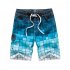 Men Fashion Printing Beach Pants Casual Home Wear Surf Shorts blue XL