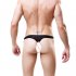 Men G string Tulle Thong Low Waist Sexy Underwear Breathable Erotic Panties Lingerie red One size