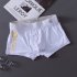 Men Ice Silk Stretch Underwear Mid waist Solid Color Boxer Briefs Breathable Lightweight Underpants PU white XL