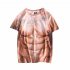 Men Large Size Shirt Funny 3d Muscle Printing Short Sleeves Tops Round Neck Casual T shirt 2064 M