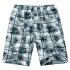 Men Outdoor Breathable Elastic Waist Fashion Printing Beach Shorts Random Color Random color One size