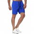 Men Sports Shorts Quick drying Solid color Fitness Pants Beach Casual Cropped Pants grey L