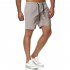 Men Sports Shorts Quick drying Solid color Fitness Pants Beach Casual Cropped Pants grey L