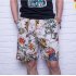 Men Summer Print Hawaii Loose Drawstring Short Pants Casual Beach Shorts   A 2XL