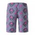 Men Summer Printed Casual Sports Quick drying Loose Shorts Beach Pants Photo Color XL