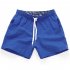 Men Summer Soft Beach Swimming Short Pants royalblue XXL