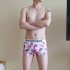 Men Underwear Boxer Briefs Cotton Low waist Cartoon Anime Plants Plaid Printing Underpants Pink caricature L