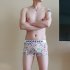Men Underwear Boxer Briefs Cotton Low waist Cartoon Anime Plants Plaid Printing Underpants Pink caricature L