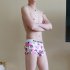 Men Underwear Boxer Briefs Cotton Low waist Cartoon Anime Plants Plaid Printing Underpants Pink caricature L
