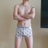 Men Underwear Boxer Briefs Cotton Low waist Cartoon Anime Plants Plaid Printing Underpants Pink caricature L