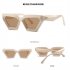 Men Women Retro Sunglasses Lightweight Fashion Sun Glasses Eye Protective Eyewear For Travel Shopping C6 Tea Box Tea film