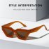 Men Women Retro Sunglasses Lightweight Fashion Sun Glasses Eye Protective Eyewear For Travel Shopping C3gray leopard frame gray film
