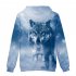 Men Women Unisex New Fashion Painting 3D Hoodies Animal Wolf Print Casual Hooded Sweatshirt Type B XL