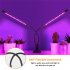 Metal Led Grow Light Usb Phyto Full Spectrum Lamp For Indoor Plants Seedlings Flower 36W  four heads