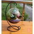 Micro Landscape Ecological Bottle Transparent Flowerpot Hanging Glass Vase Handicraft Home Decoration Transparent 10   10   10cm