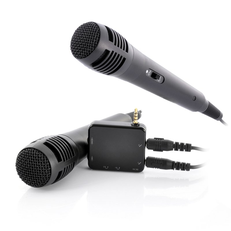 Portable Karaoke Player With 2 Microphones 