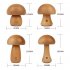Mini Mushroom Night Lamp USB Charging Touch Switch Dimmable LED Mushroom Table Light Eye Protection