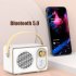 Mini Retro Bluetooth compatible Speaker Wireless Classic Fm Radio Portable Usb Interface Travel Music Player White