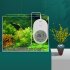 Mini Thermometer High Precision Led Electronic Digital Display Intelligent Thermometer Fish Tank Aquarium Equipment