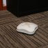 Mini X Robotic Vacuum Cleaner will roam around your furniture and clean your home  the 300Pa suction and 1800mAh battery let it clean 40m square in 40 minutes