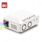 Mini DLP Projector Mini DLP Projector