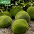 Miniature Moss Stone Artificial  Moss Lawn Micro Landscape Ornament Garden Diy Decoration Small size around 6cm