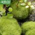 Miniature Moss Stone Artificial  Moss Lawn Micro Landscape Ornament Garden Diy Decoration About 10cm larger