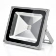 50W Outdoor Security LED RGB Light