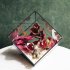 Modern Glass Geometric Terrarium Box Tabletop Succulent Plant Holder Planter Fern Moss Display Vase Pot