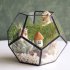 Modern Glass Geometric Terrarium Box Tabletop Succulent Plant Holder Planter Fern Moss Display Vase Pot