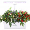 US AGRESTEM Agrestem GE0 Automatic Hydroponic Growing System for Indoor Garden US Plug