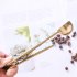 Multifunction 2 in 1 Kitchen Stainless Steel Coffee Scoop with Clip for Tea Coffee Rose gold
