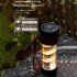 Multifunction Camping Lights USB Charging Tent Lamp LED Flashlight Hanging Lantern Emergency Lights Titanium Color