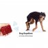 Multifunction Outdoor Ultrasonic Dog Repeller Anti theft Alarm LED Flashlight Random Color European regulations