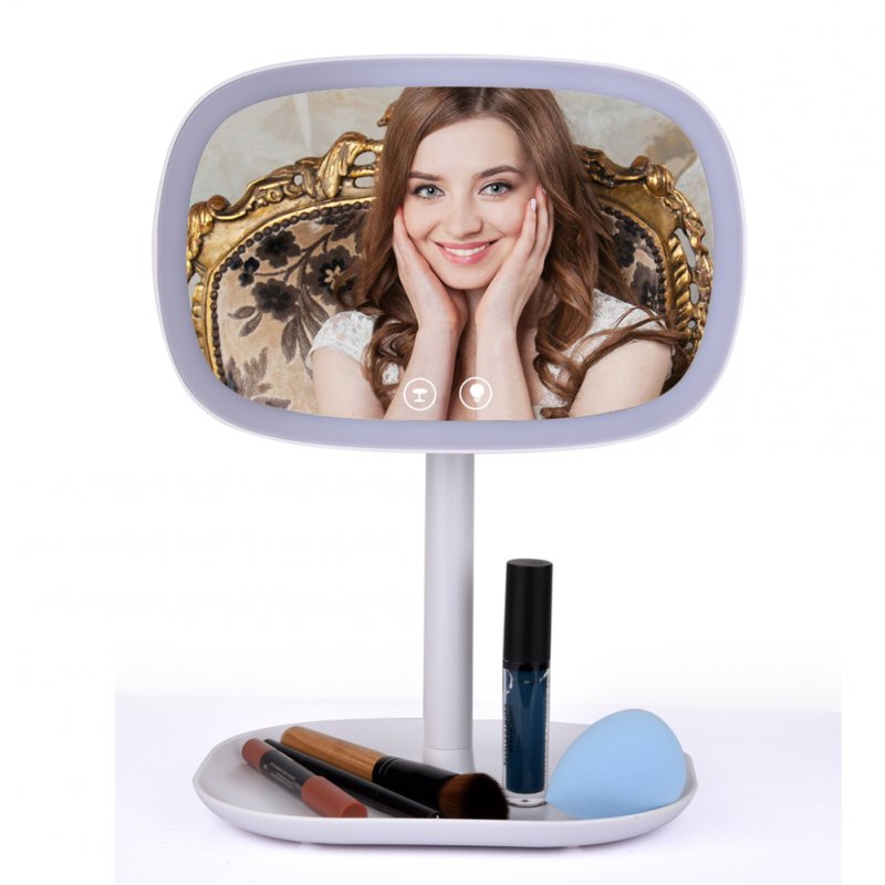 LED Makeup Mirror 10X Magnifier White