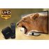 MyGica ATV582 Android 4 4 TV Box supports UHD  4Kx2K  as well as featuring an AMLogic M8 ARM CORTEX A9 2GHz Quad Core CPU  600MHz Octa ARM Mali 450 GPU and XBMC