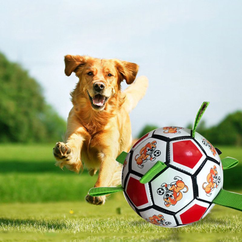 Pet Dog Soccer Toys With Rope Bite-resistant Chewing Toy Outdoor Multifunctional Interactive Training Toys 