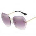 UV400 Frameless High Strength Sunglasses NO.5