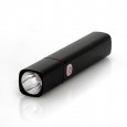 CREE LED Light with Powerbank