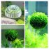Natural Mineral Aquatic Bio Moss Container Ball Fish Tank Decor Aquarium Accessories Transparent color