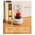 New Flower Fragrance Lamp Mini Home Creative Colorful Atmosphere Lamp Ornament Home Gift pink flower