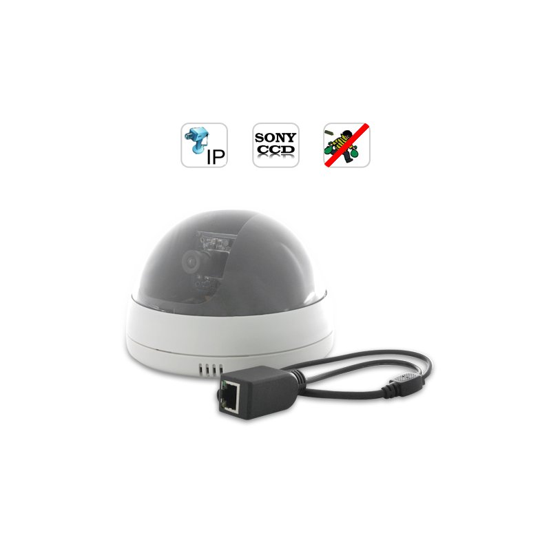IP Security Camera