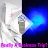 New three in one function super flashlight for illuminating just   about anything you can imagine   For the web s best selection of lasers  LED flashlights  a