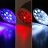 New three in one function super flashlight for illuminating just   about anything you can imagine   For the web s best selection of lasers  LED flashlights  a