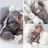 Newborn Baby Cute Jumpsuit with Rabbit Ears Lovely Hooded Cotton Romper Beige 66
