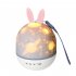 Night Lamp Projector Starry Sky Night Light Toys With 360   Rotation Timer 10 Remote Light Modes Birthday Christmas Gifts For Kids Gray Cute Deer USB model