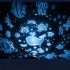 Night Lamp Projector Starry Sky Night Light Toys With 360   Rotation Timer 10 Remote Light Modes Birthday Christmas Gifts For Kids Gray Cute Deer USB model