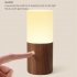 Night Light Touch Table Lamp With Frosted Lampshade 3000K Color Temperature USB Charging Cable Modern And Minimalist LED Light For Bedroom Living Room Sapele