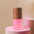 Night Light Touch Table Lamp With Frosted Lampshade 3000K Color Temperature USB Charging Cable Modern And Minimalist LED Light For Bedroom Living Room Beech